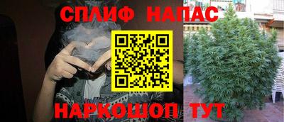 МДПВ Пугачёв