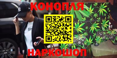 сатива Пушкино